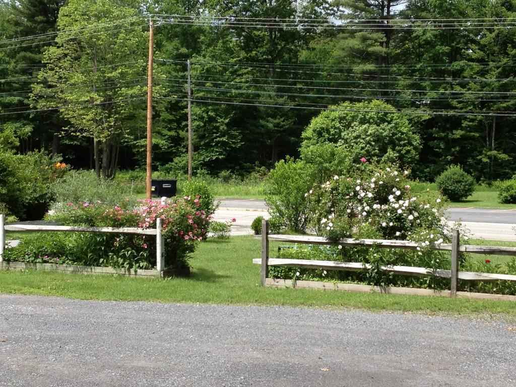 Mcgregor Inn Motel Wilton Luaran gambar